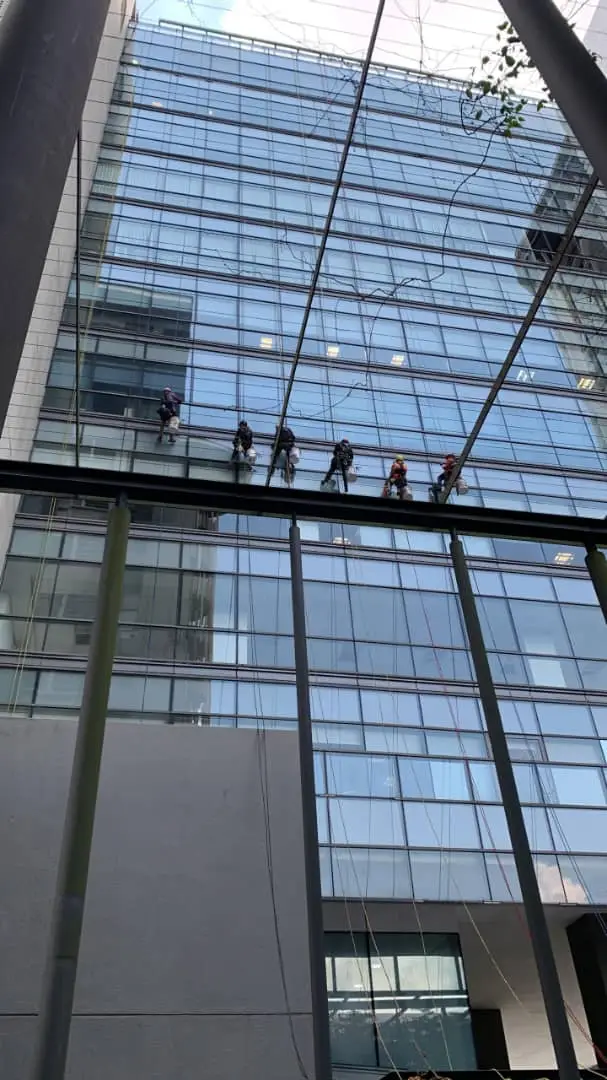 external window cleaning services technicians on a high-rise glass facade