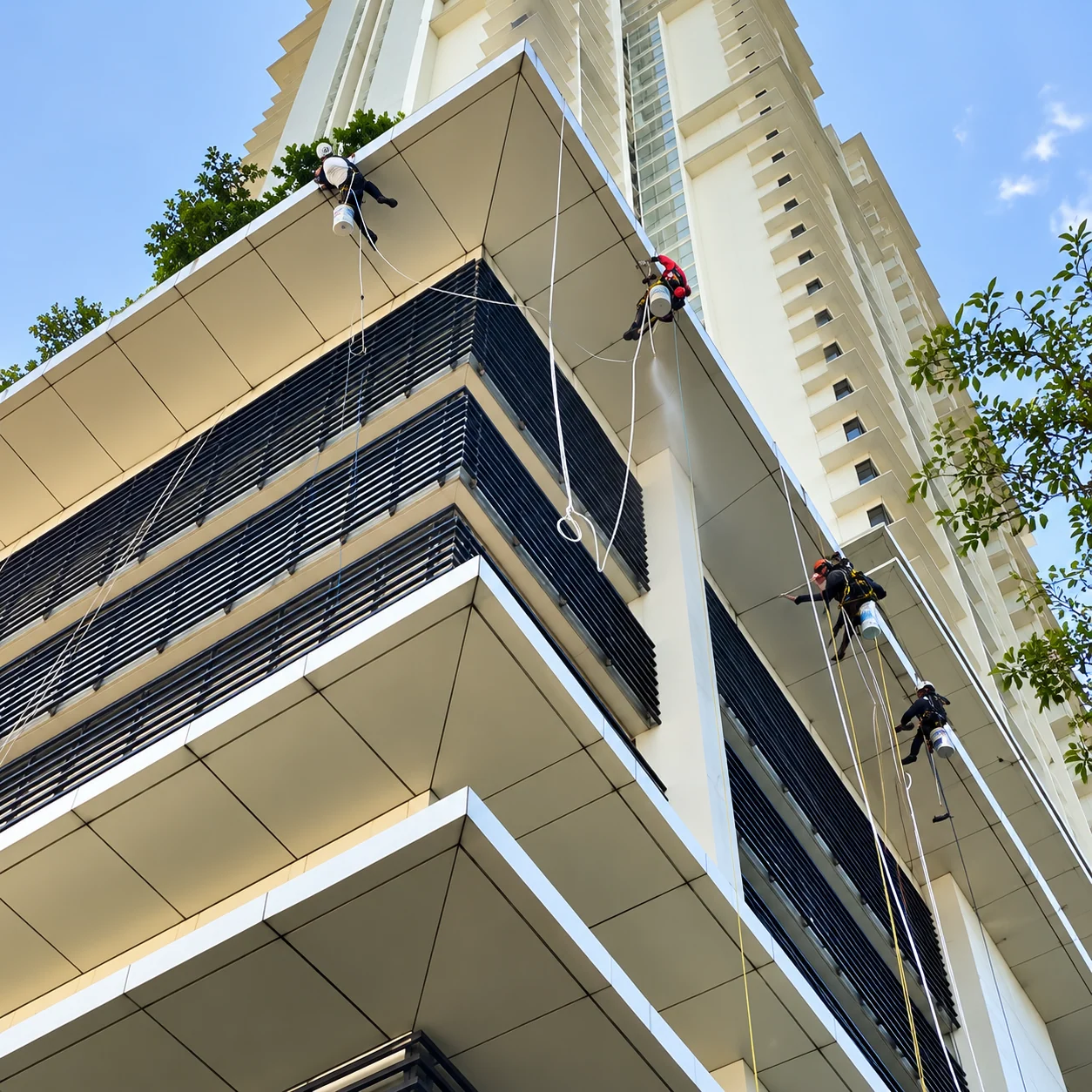 The Park Residences - Vertical Pro project photo 4