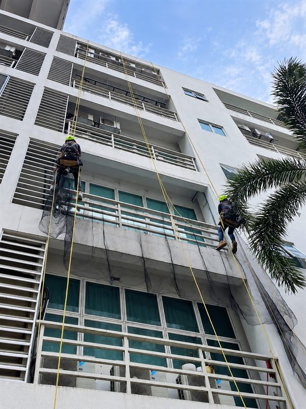 Bird Netting for Building by Vertical Pro